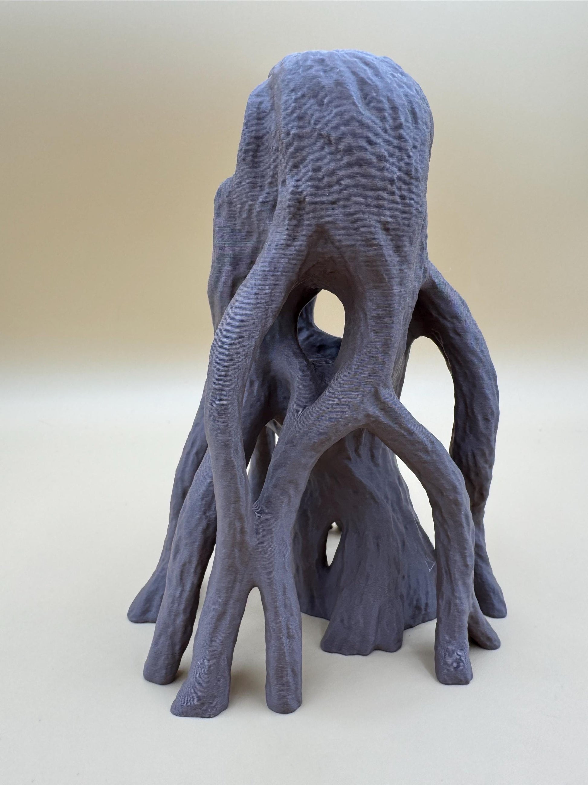 Mangrove base for jumping spiders