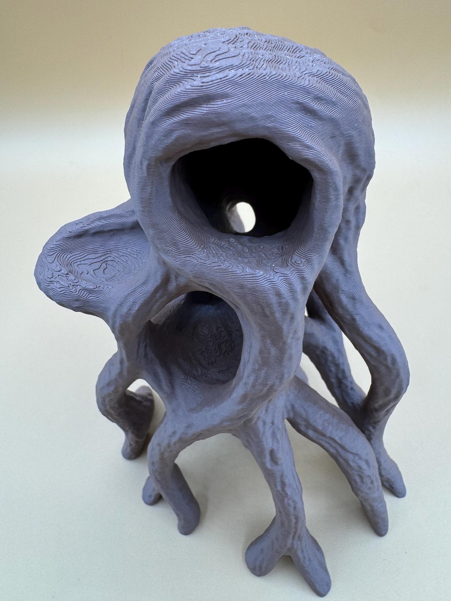 Mangrove base for jumping spiders