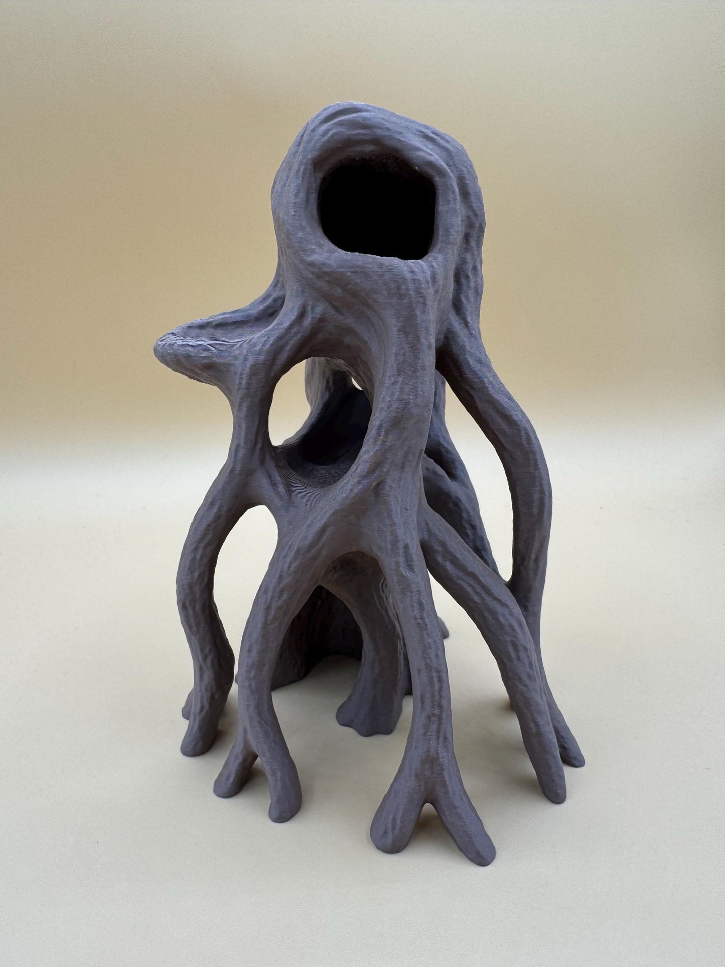 Mangrove base for jumping spiders
