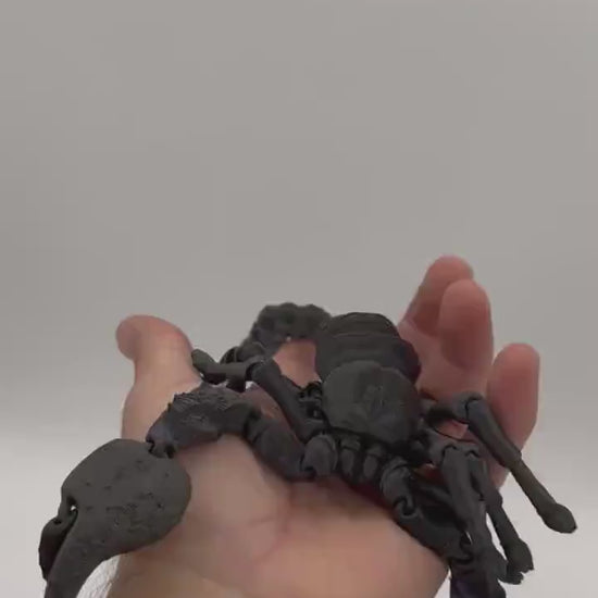 Large 11” Articulating Emperor scorpion