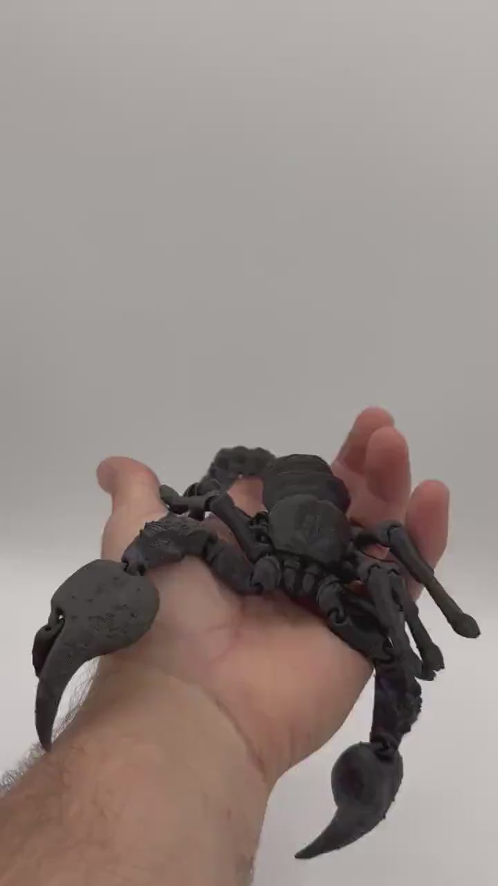 Large 11” Articulating Emperor scorpion