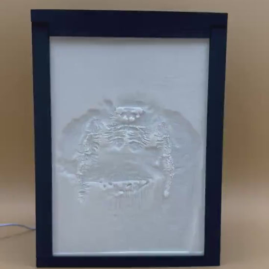 Personalized Backlit Lithophane PhotoBox