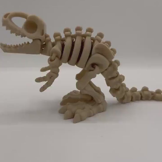 Articulating Bone Dino