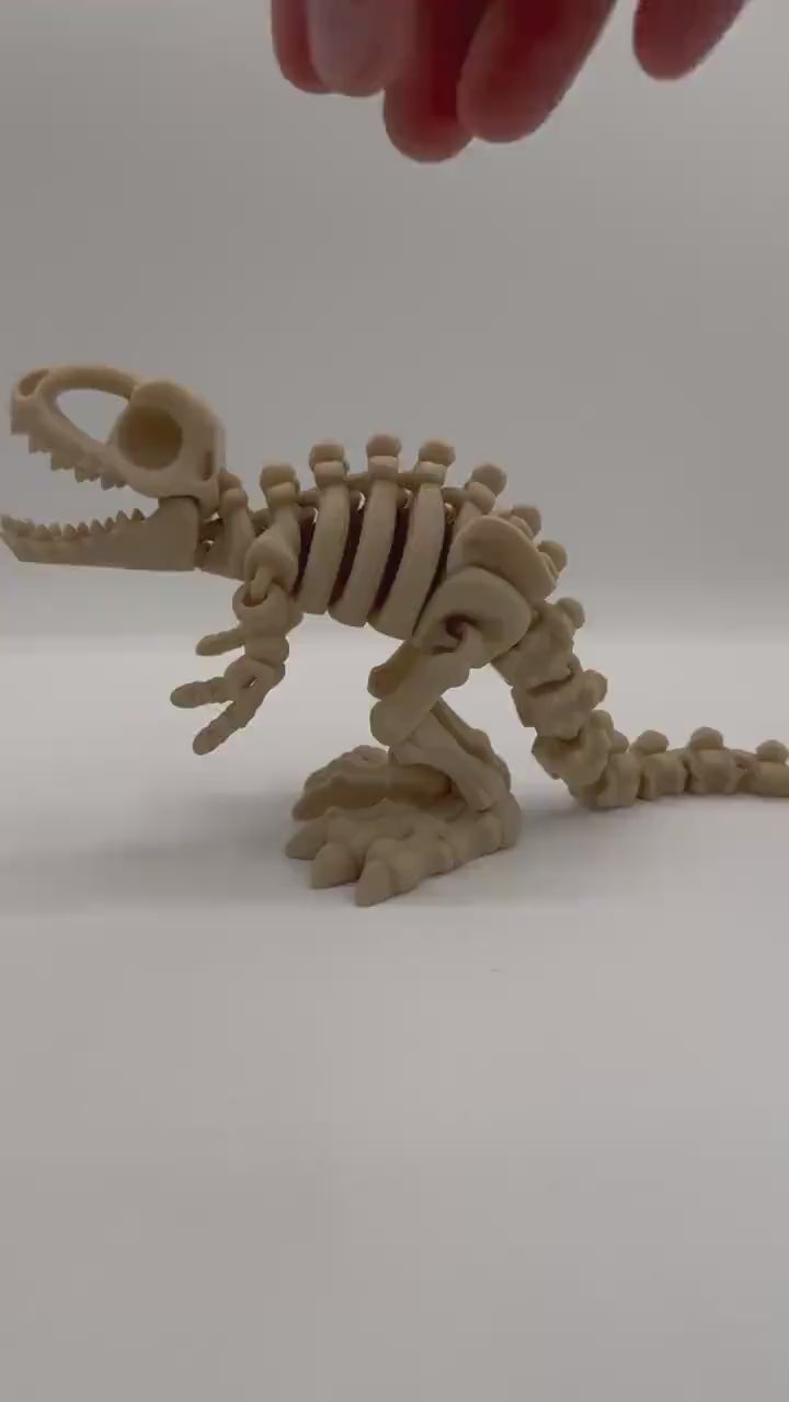 Articulating Bone Dino