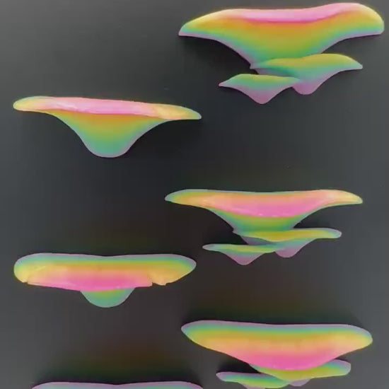 Magnetic rainbow “glow” mushroom ledge *Built In Magnet*